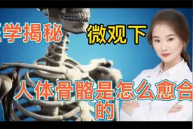 医学揭秘 微观下人体骨骼骨折后是如何自我愈合 揭秘人体的秘密视频封面