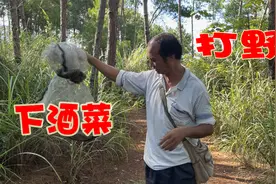 小哥“打野”真有趣，辛苦一会，下酒菜就有了视频封面
