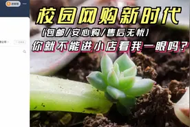 线下业务搬迁至线上办理！千万别帮他宣传抖音小店！@巴音学院视频封面
