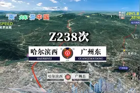 Z238次列车（哈尔滨西-广州东），全程3645公里，运行35小时22分视频封面