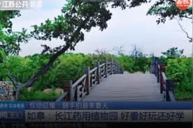 随手拍最美夏天！长江药用植物园，好看好玩还好学，适合带孩子去视频封面
