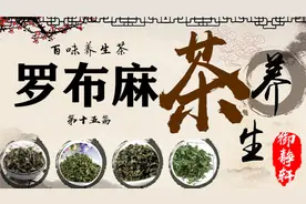 养生茶第十五篇 罗布麻茶 有平抑肝阳，清热利尿，降血压等作用