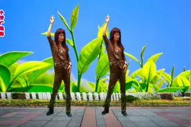 看窗外的世界，繁华喧闹的夜，广场舞《爱情错觉》，好歌听不够