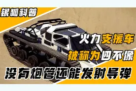 功能独特的火力支援车，没有炮管还能发射导弹，被外界称为四不像视频封面