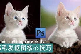 【PS后期教程】毛发抠图核心技巧-玩转发丝去白边视频封面