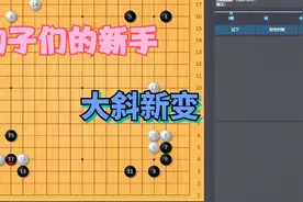 2020世界人工智能围棋赛：狗子们的新手一，大斜新变视频封面