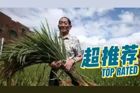 杂交水稻到底有多厉害？一分钟带你回顾袁隆平的一生！视频封面