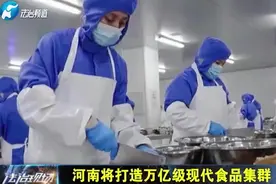 河南打造万亿级现代食品集群视频封面