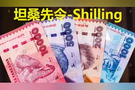 带你认识非洲坦桑尼亚的货币 一大叠才值这点钱视频封面
