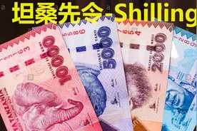 带你认识非洲坦桑尼亚的货币 一大叠才值这点钱视频封面