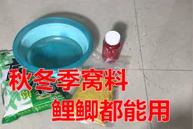 分享一款秋冬季钓鱼窝料，鲤鱼、鲫鱼都能用，搭配简单发窝快视频封面