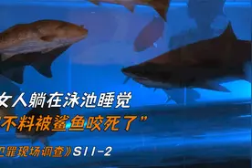 女人躺在泳池睡觉，却不料被鲨鱼咬死了《犯罪现场调查》视频封面