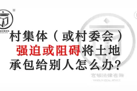 村集体（或村委会）可以调整土地吗？言顿法律视频封面