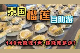 泰国榴莲自助游：140元任吃1天，你能吃多少榴莲？且吃且珍惜哦！视频封面