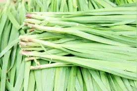 六月吃韭菜到底好不好，农村老人总结经验，吃韭菜的说法视频封面