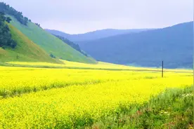 这些花海也太美了！一起打卡广东周边春日限定美景！视频封面