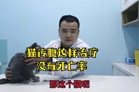 猫咪得了猫传腹不要慌，宠物医生告诉你怎么治疗。视频封面