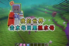 我的世界：海洋中的水母田，玩家能在这里抓水母，水母也会电人视频封面