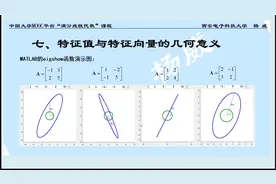 线性代数的几何意义_7.特征值和特征向量的几何意义