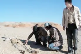 罗布泊现大量干尸，专家发现惊人线索，难道山海经的记载是真的？视频封面