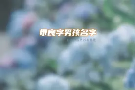 良字取名男孩名字大全视频封面