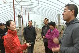辽峰葡萄坐不好果咋回事视频封面