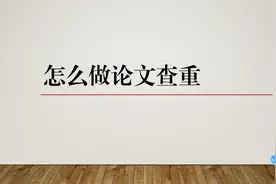 论文查重方法