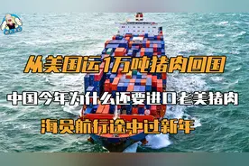 从美国运1万吨猪肉，中国今年为什么还要进口老美猪，新年快乐！视频封面