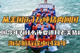 从美国运1万吨猪肉，中国今年为什么还要进口老美猪，新年快乐！视频封面