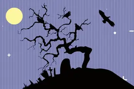 看到乌鸦真不吉利吗？