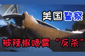 美国警察执法中使用辣椒喷雾结果却被辣椒喷雾“反杀”视频封面