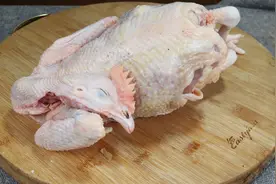 大厨教你麻辣凉拌鸡做法，这一步是关键，麻辣过瘾，下酒又下饭视频封面