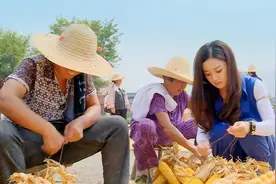 明星回村干农活合集，赵丽颖扒玉米手法老练，丽颖：我从小就干活视频封面