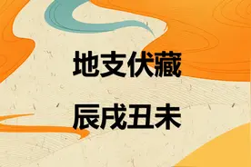 地支伏藏之辰、戌、丑、未视频封面