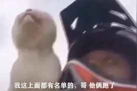 搞笑视频：瞅瞅，不系安全带下场就是翻车视频封面