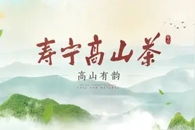 福山福水出福茶｜寿宁高山茶 天香仙韵 唯你知音视频封面