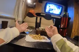 广州城土著大叔今日细碎 又用广州话与广州人聊天 剥花生倾闲计视频封面