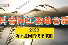 抖音网红歌曲合辑，2023听哭全网撕心裂肺的的抖音伤感歌曲视频封面