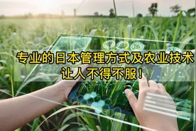 乡村振兴—专业的日本管理方式及农业技术，让人不得不服！视频封面