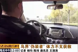 北京路边惊现“奇鸟”，把自己伪装成“芦苇”，民警出手救助视频封面