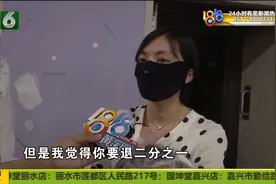 卖猫和养猫 没能辨雌雄视频封面