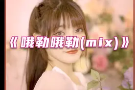 《哦勒哦勒(慢嗨热门mix)》视频封面