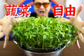 耗时360小时，终于实现蔬菜自由！视频封面