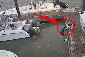 水中突现“神秘黑影”，狗狗好奇探头查看，结果惨遭“爆头”！视频封面