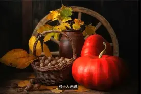 她的静物摄影，拍得比画还美，说是照片都没人信视频封面