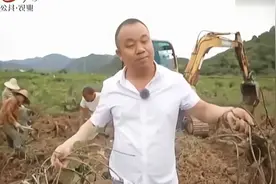 挖葛根有妙招！种植户用挖土机挖葛根，不会挖破葛根还能减少成本视频封面