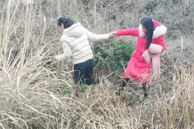 两个被姑妈带大的孩子，给姑妈拜年了！妹妹表现太嚣！视频封面