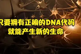 生命是一个信息系统，只要拥有正确的DNA代码，就能产生新的生命视频封面