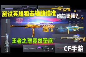 英雄级狙击辅助瞄准大比拼，王者之怒成绩垫底视频封面