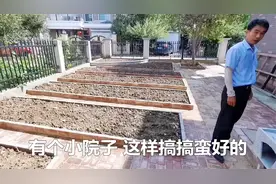 别墅空地做一块菜园子，师傅特意做了蓄水池，给蔬菜浇水不费钱视频封面